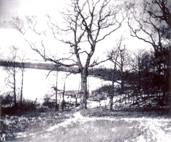 1930 Photo of 100 Acre Pond.