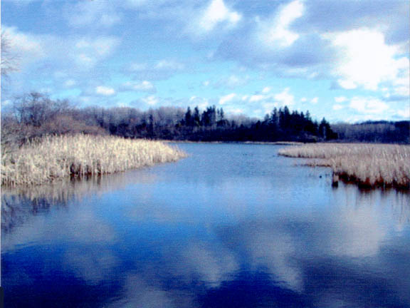 2007 Photo of Quaker Pond.