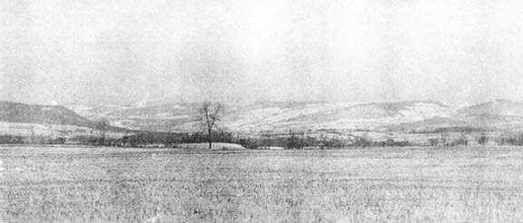 Panoramic View