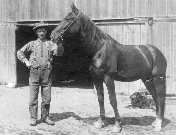 G. William Woodhouse.